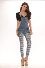 Vintage Wash Distressed Overalls