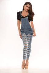 Vintage Wash Distressed Overalls